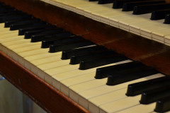 Collard-keyboards