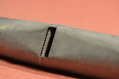 Great-Principal-middle-E-pipemouth